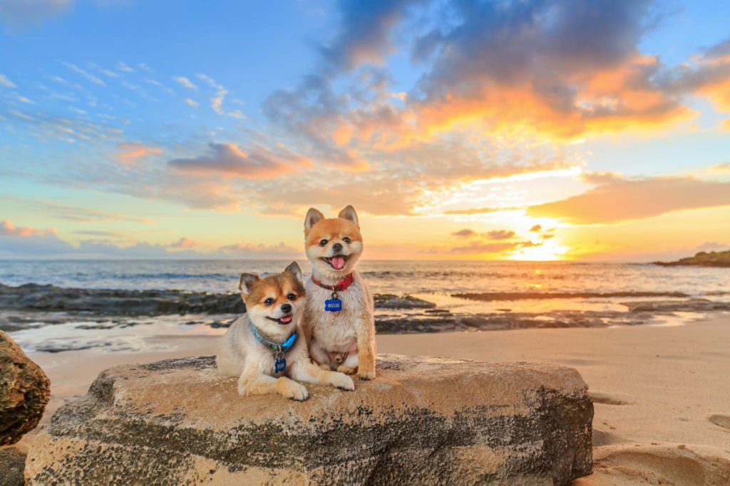 🏖️ 작은 하늘다리 해수욕장(쇼텐쿄 해수욕장) 이미지 6